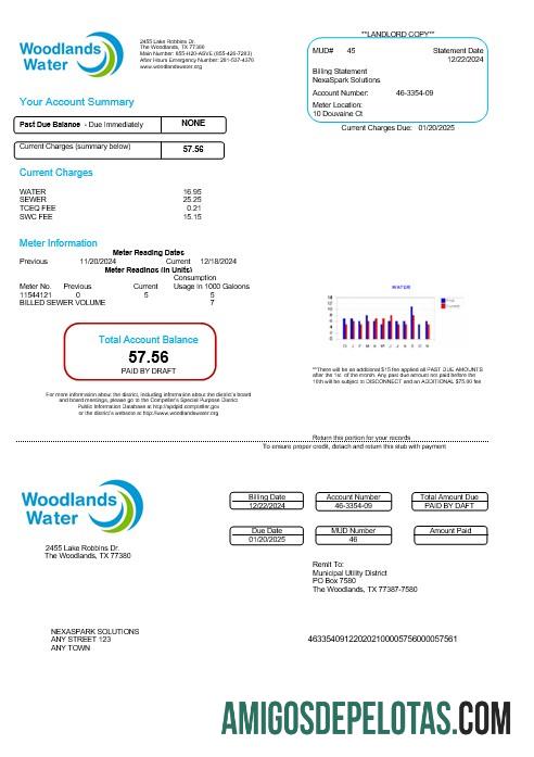 Em branco modelo Word e PDF de projeto de lei de serviços públicos de água de Woodlands dos EUA